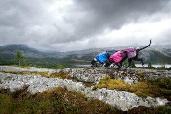 Fjord vihmajakk